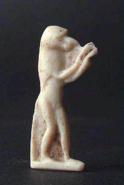 Babouin en adorateur du soleil levant