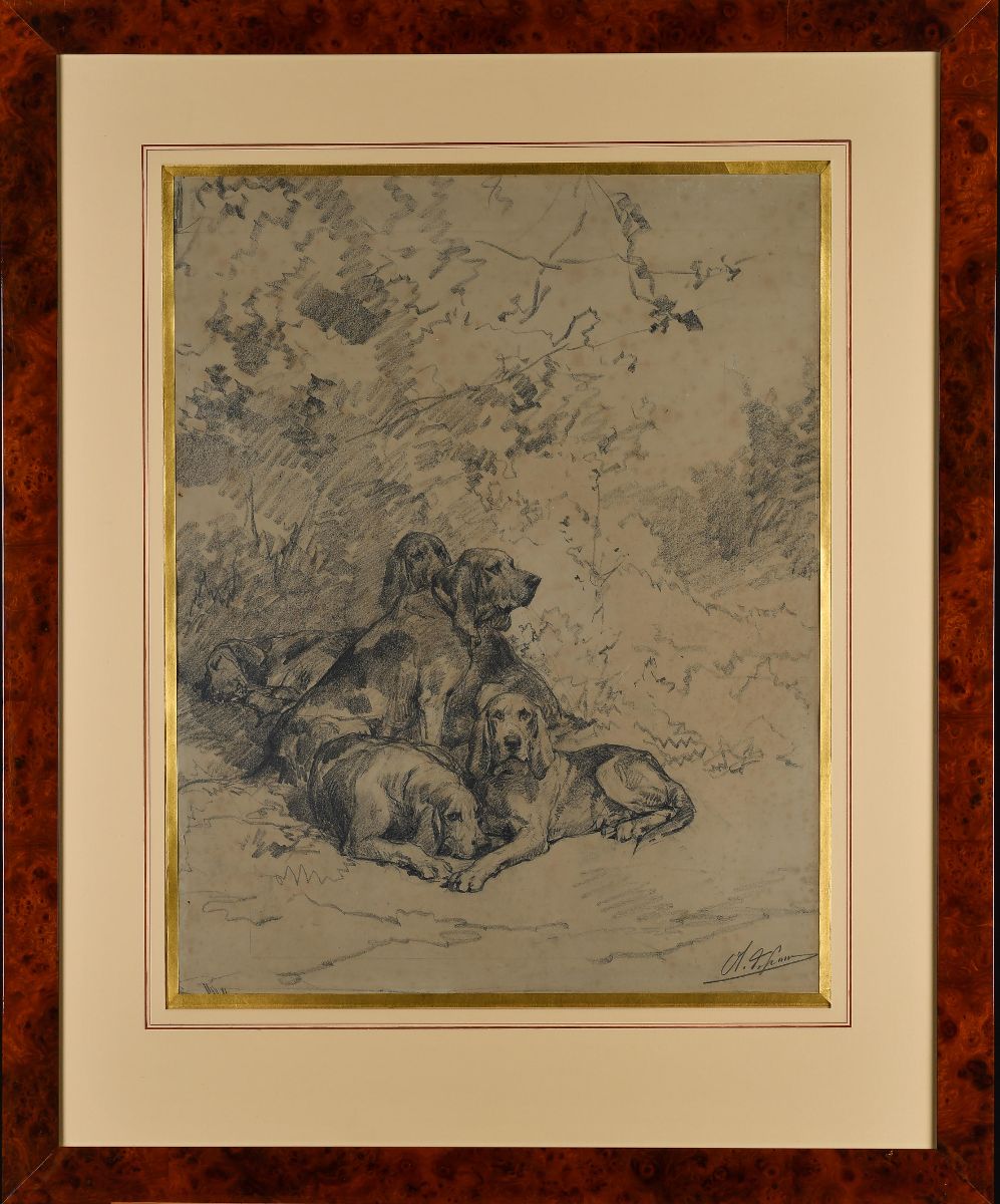 Chiens de chasse au repos