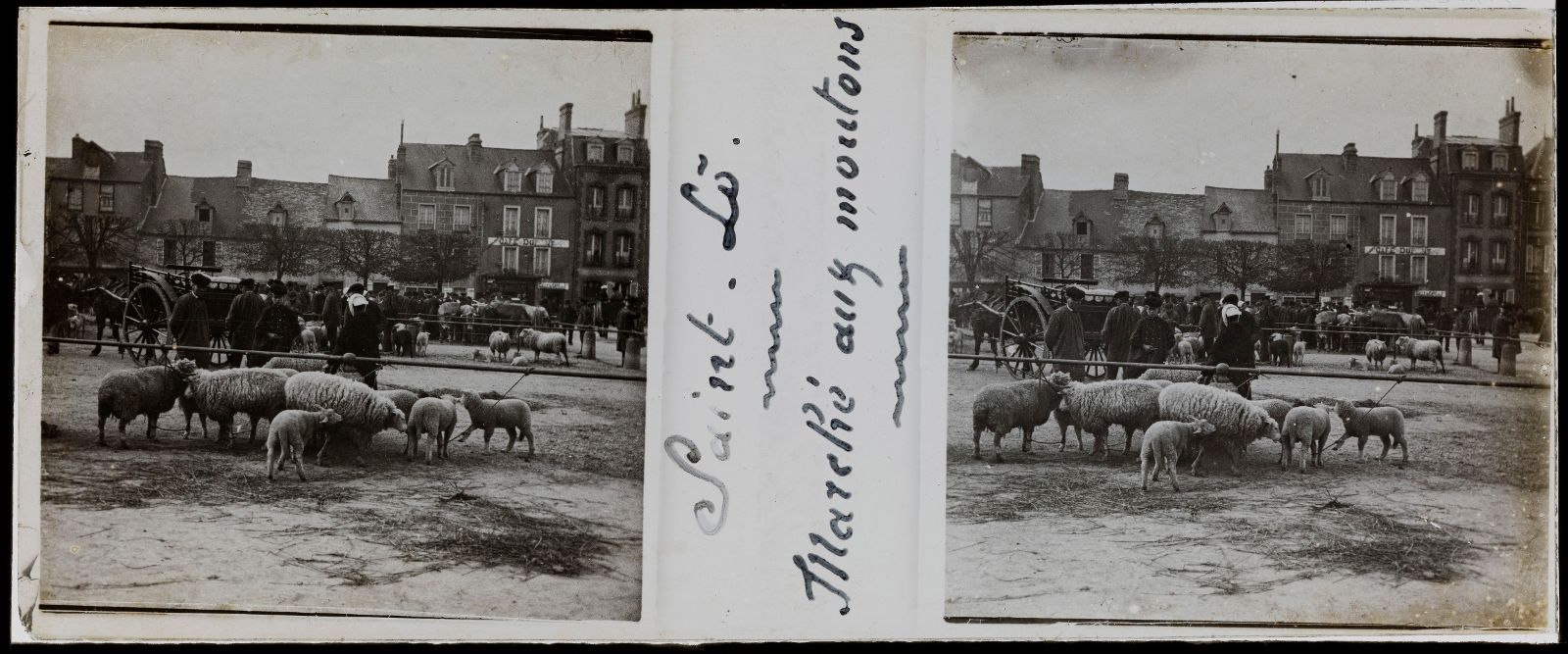 Le marché aux moutons