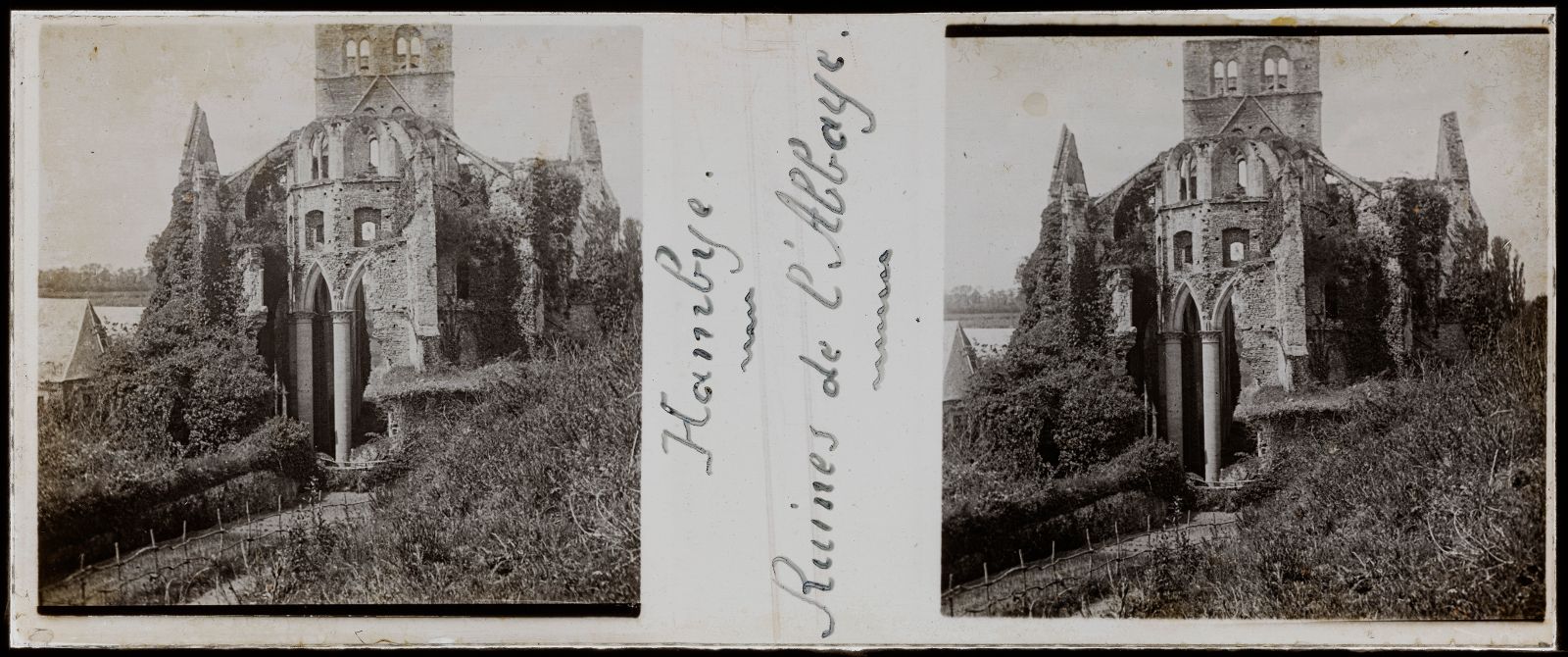Hambye : Ruine de l'abbaye