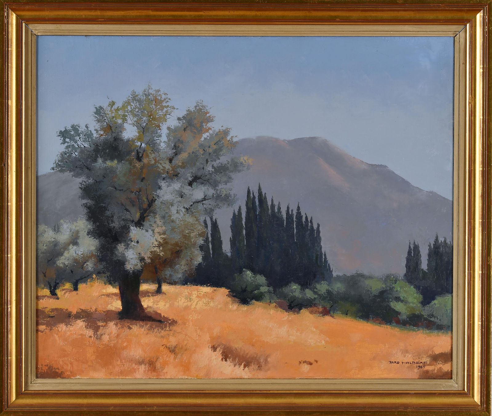 Oliviers en Grèce
