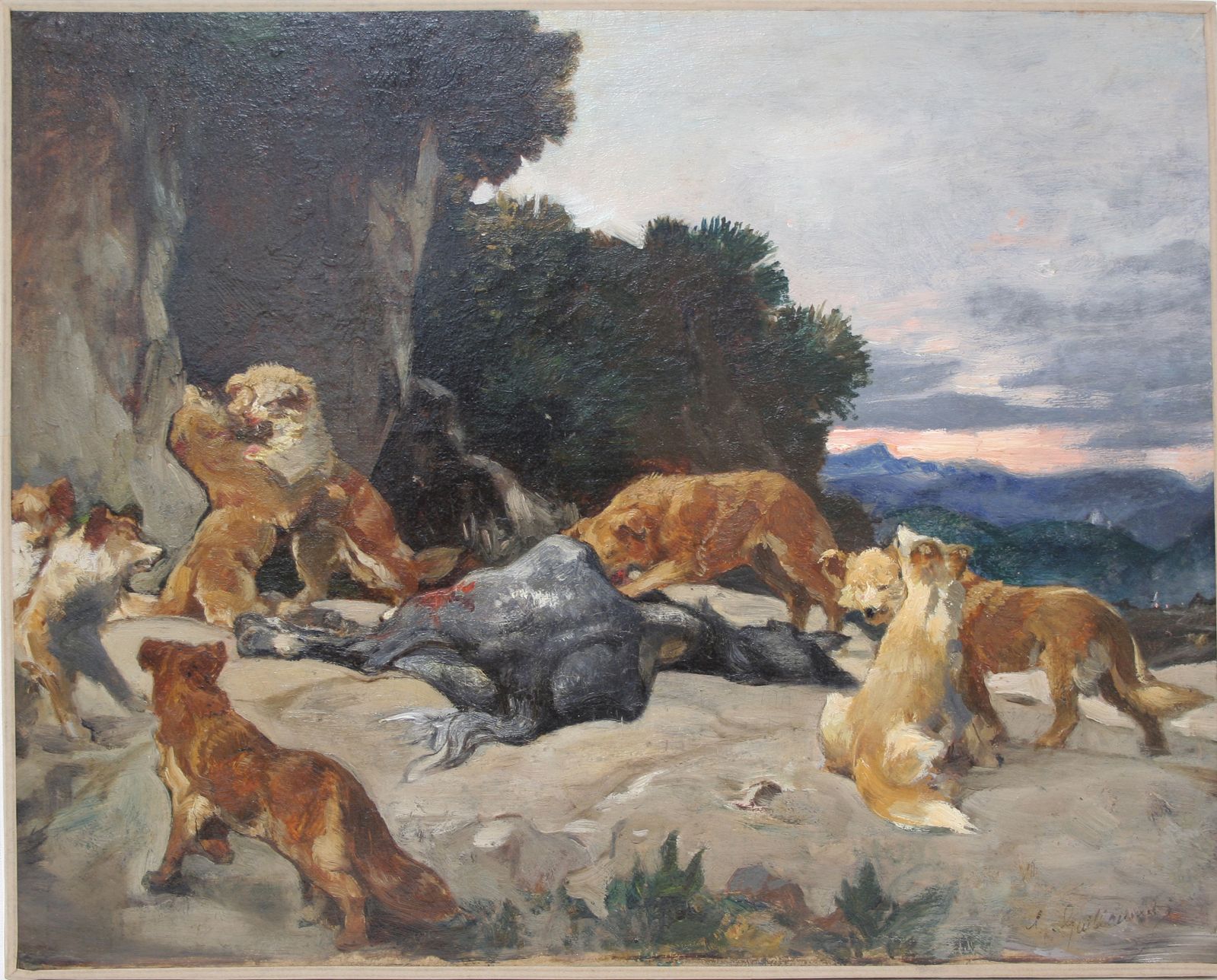 Cheval dévoré par les chacals