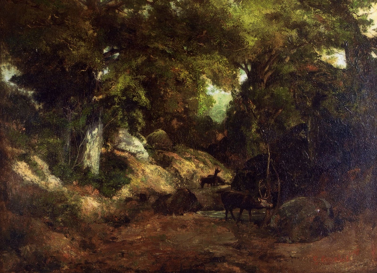 Le cerf dans la forêt