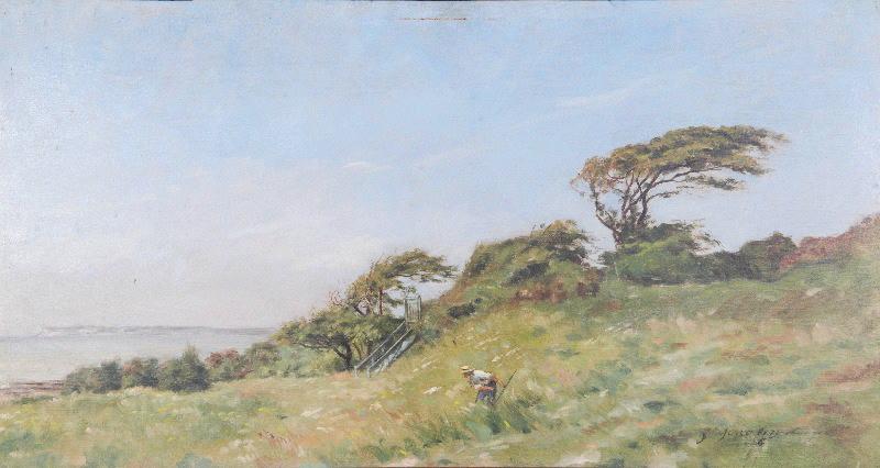 Arbres couchés dans les graves de Villerville