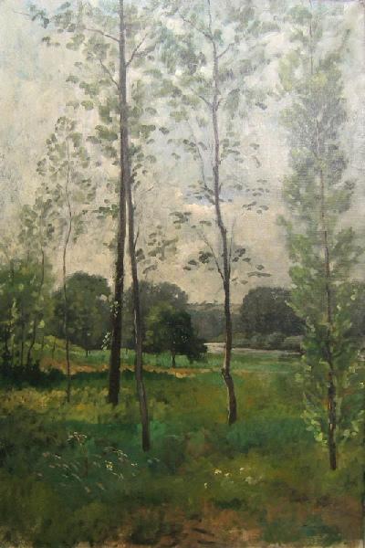 Arbres et rivière
