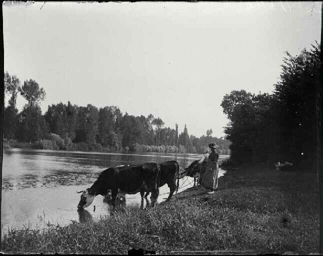 A l'abreuvoir, à Andé