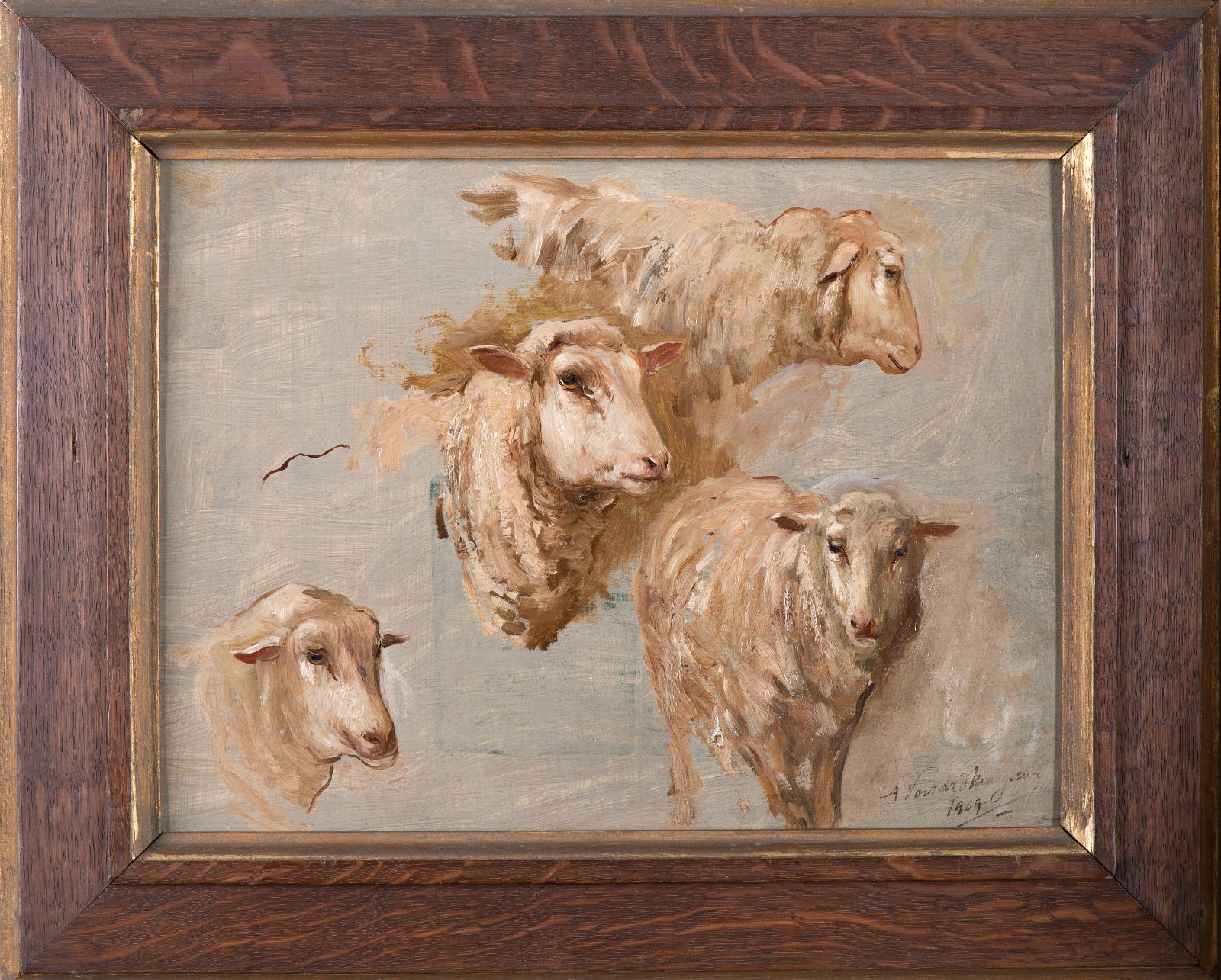 Étude de moutons
