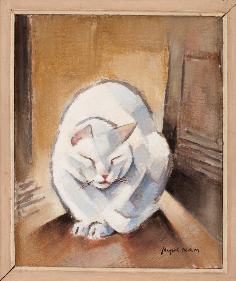 Chat blanc