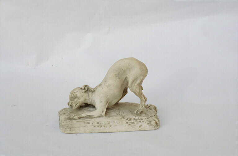 Chien rongeant un os