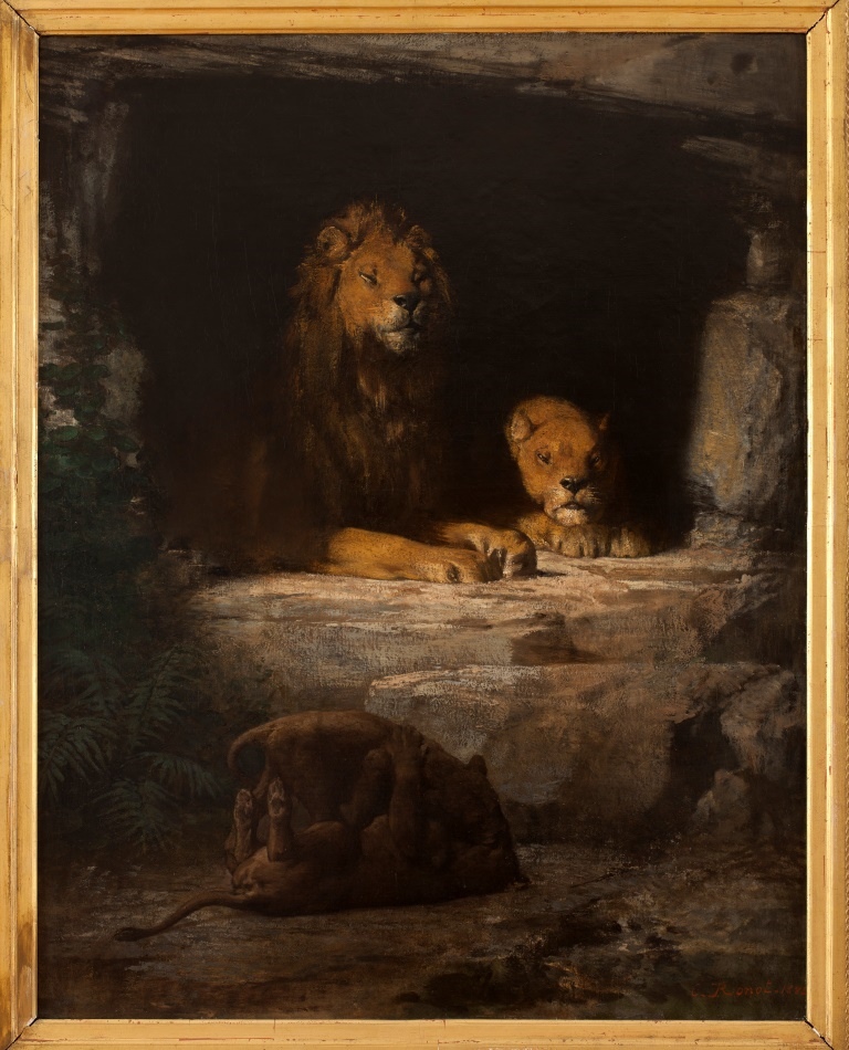 Les lions