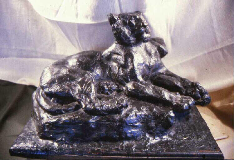 Etude de fauve couché