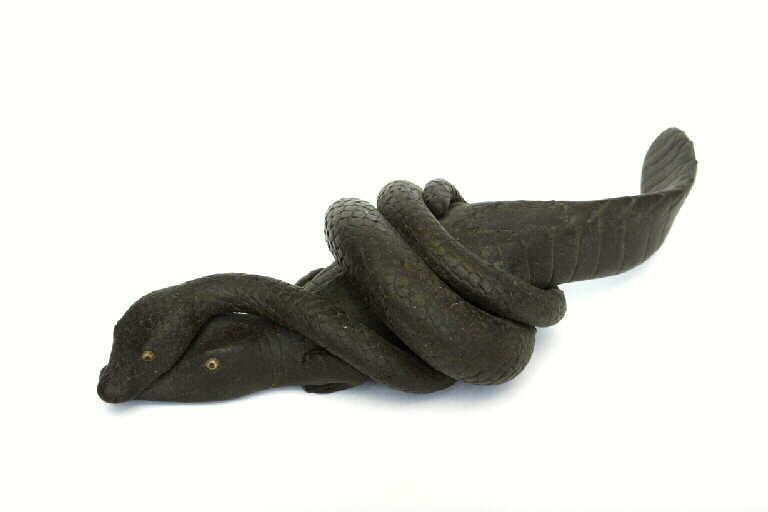 Anaconda étouffant un caïman