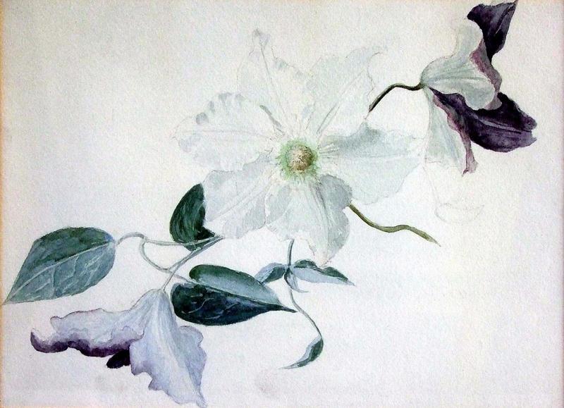 Fleur (titre factice)