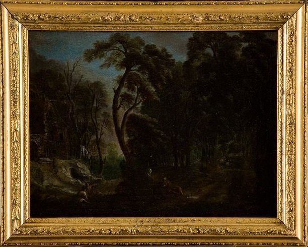 Paysage boisé à la cascade