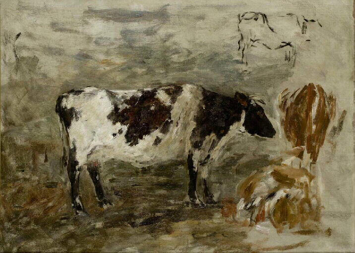 Vache noire et blanche
