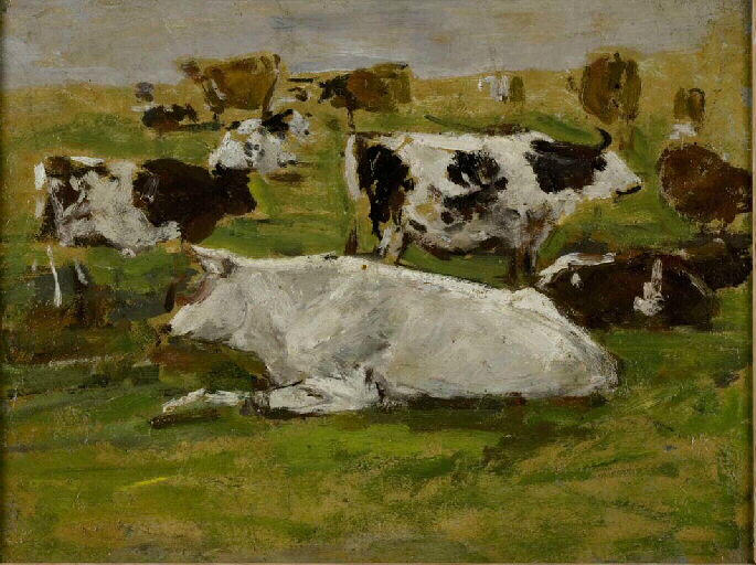 Vaches ; (Etude) Nombreux animaux 1er plan : boeuf blanc couché (ancien titre)