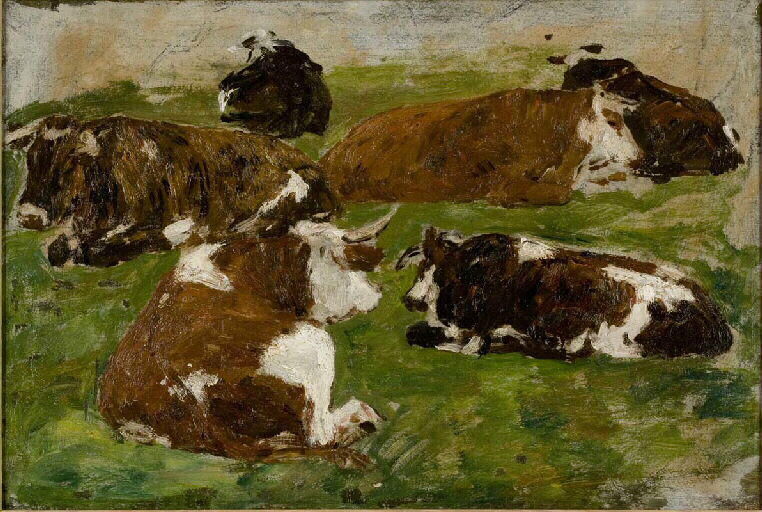 Boeufs couchés dans un pré