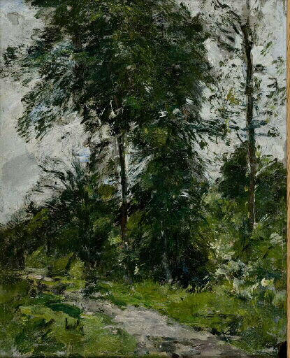 Arbre vert - L'allée