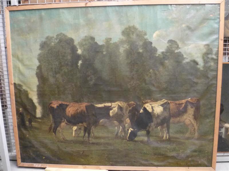 Vaches au pâturage (Bléville)