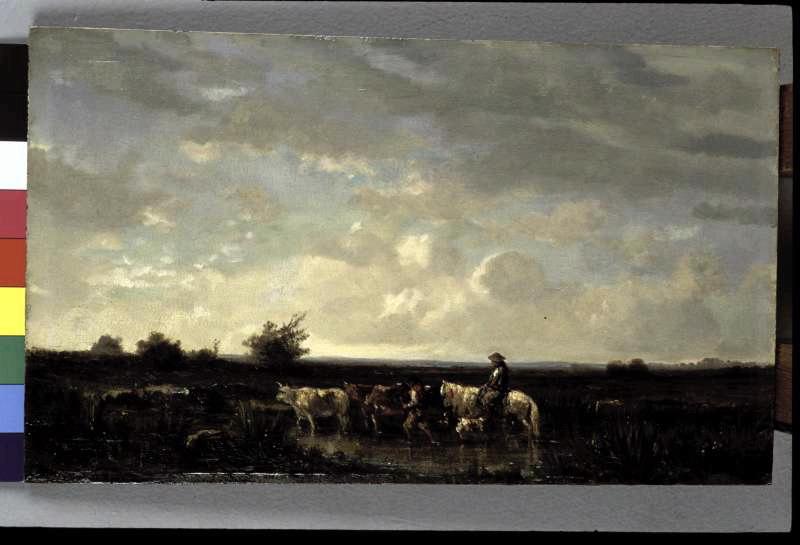 Environs de Saint-Martin près de Vannes (Morbihan)