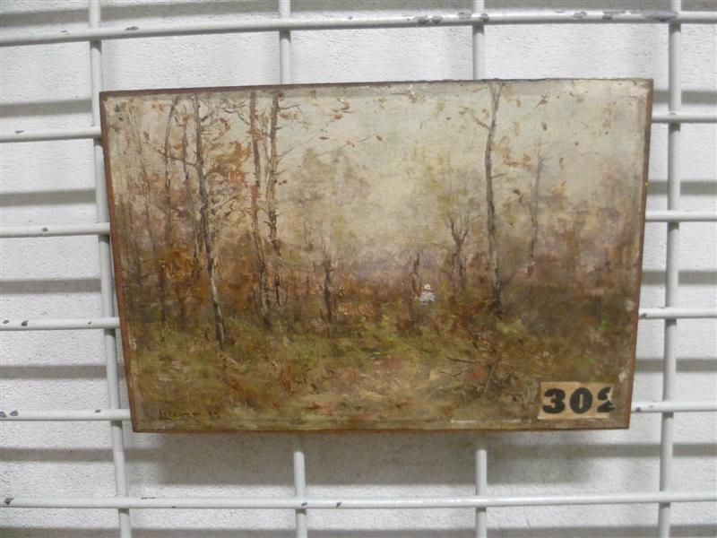 Sous-bois en hiver