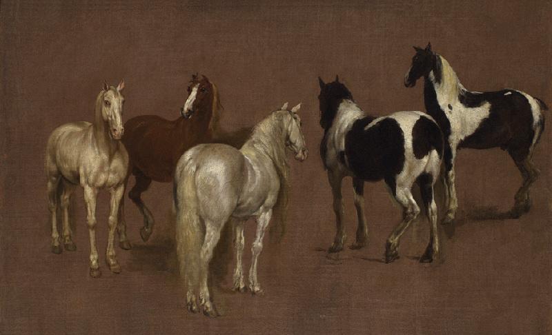 Etude de cinq chevaux