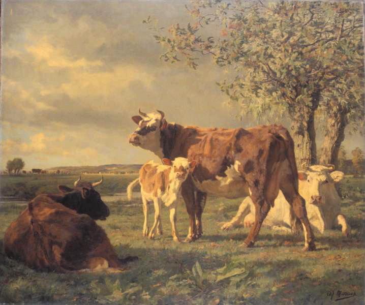 Le marais Vernier