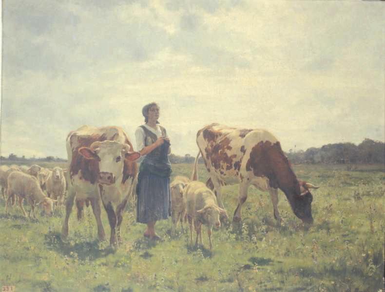 Dans la prairie