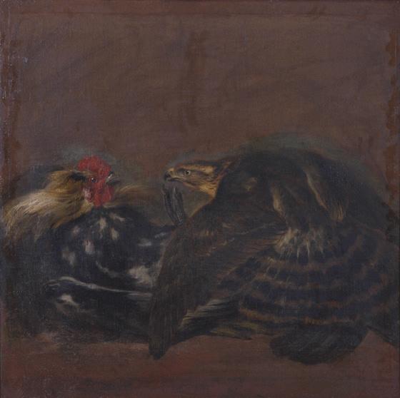 Aigle terrassant un coq