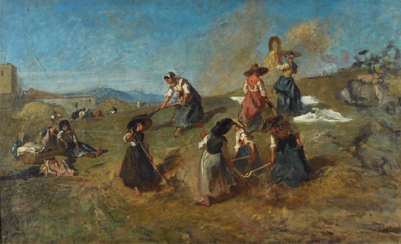 La moisson en Provence