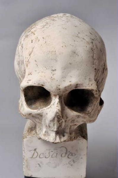 Crâne du marquis de Sade