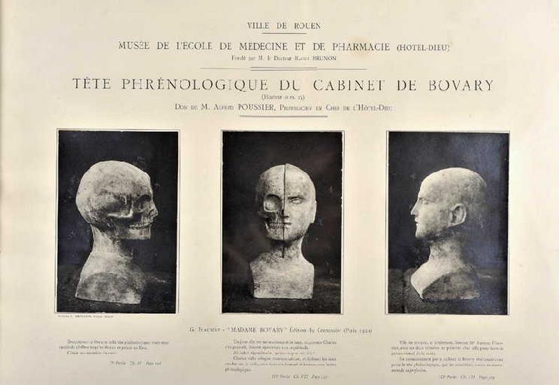 Tête phrénologique du cabinet de Bovary