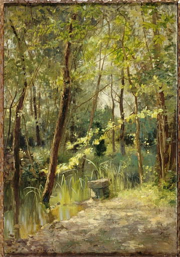 Paysage, sous-bois