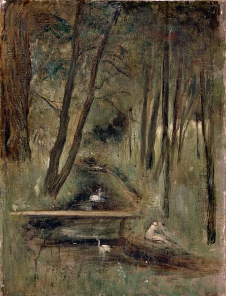 Sous-bois au printemps