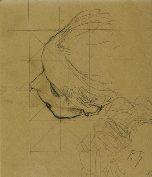 Tête en raccourci ; Etude pour 'Les bouches inutiles' (de la série)