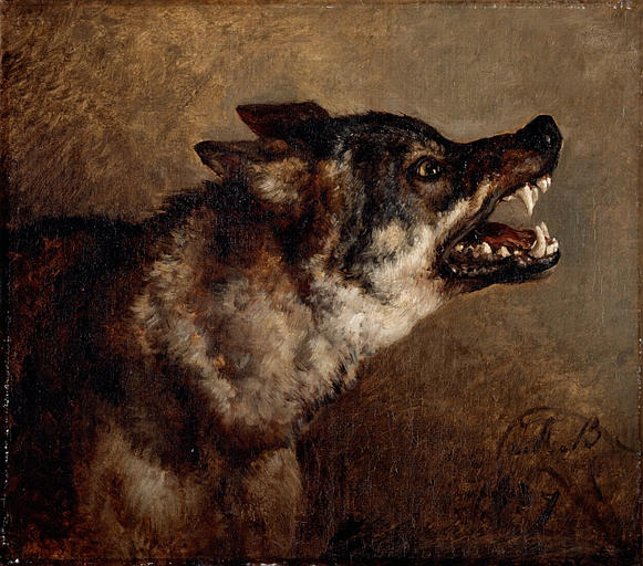 Tête de loup