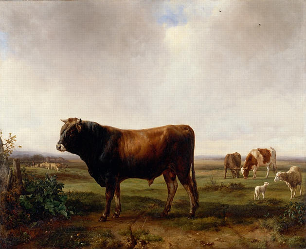 Taureau et autres animaux dans une prairie