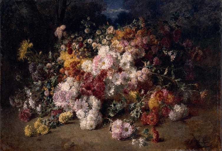Fleurs
