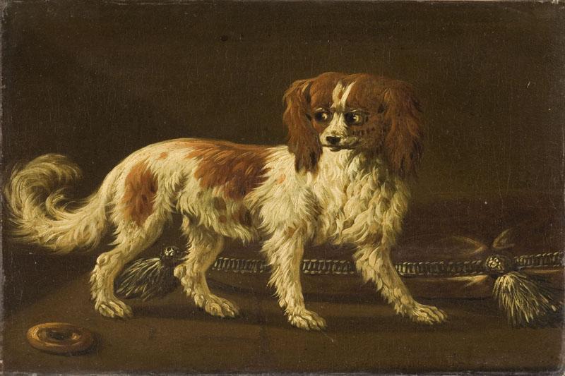 Portrait d'un chien sur un coussin