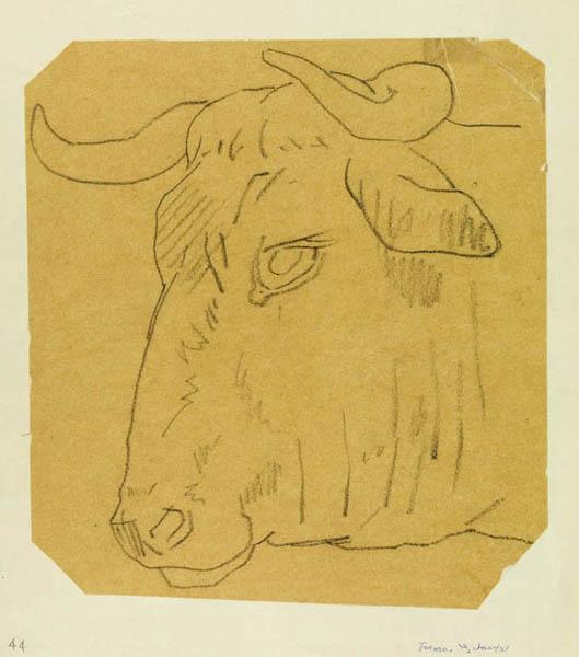 Les travaux des champs au boeuf