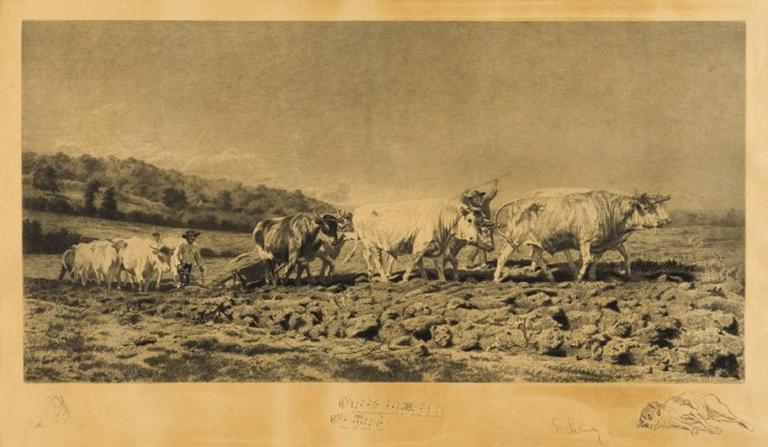 Le labourage nivernais (le sombrage)