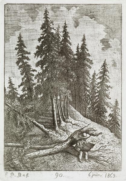Le dessinateur et les sapins