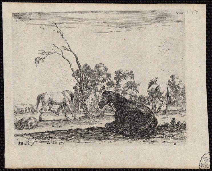 Agréable diversité de figures (08)