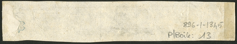 Frise avec différents oiseaux