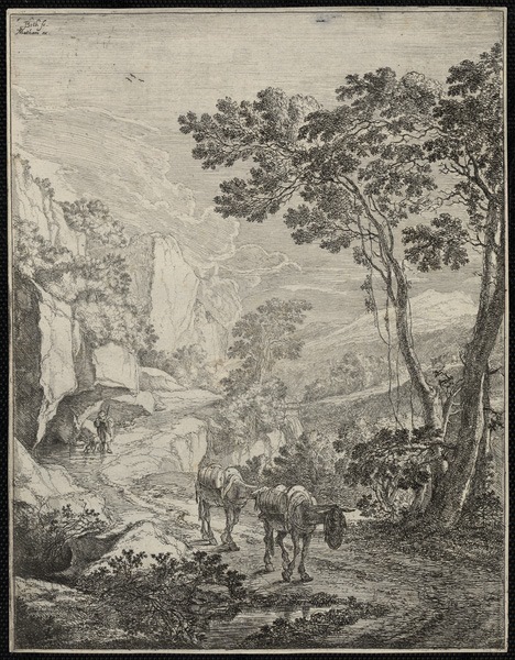 Paysages en hauteur : les deux mulets