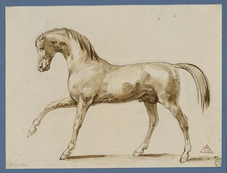 Croquis d'un cheval ; Cheval de profil (autre titre)