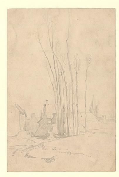 Peupliers à l'entrée d'un village