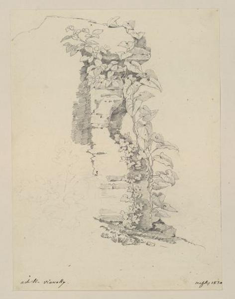 Ruines avec lierre et liseron (Naples, 1830) (Catalogue des ventes 1873) ;  Au verso : étude de têtes de chevaux, femme et de cavalière ; Naples, mur couvert de feuillage (autre titre)