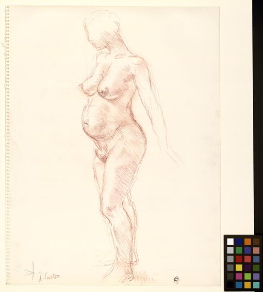 La femme enceinte
