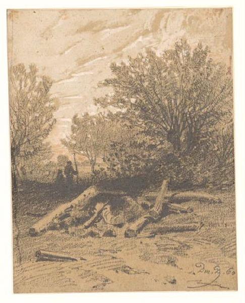 Paysage aux troncs d'arbres